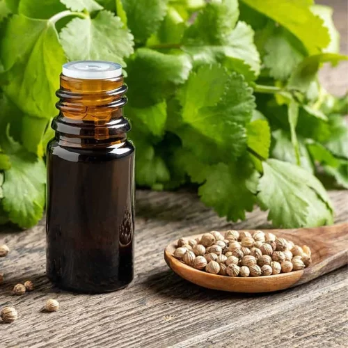 Coriander Co2 Extract Oleoresin Manufacturers In Germany