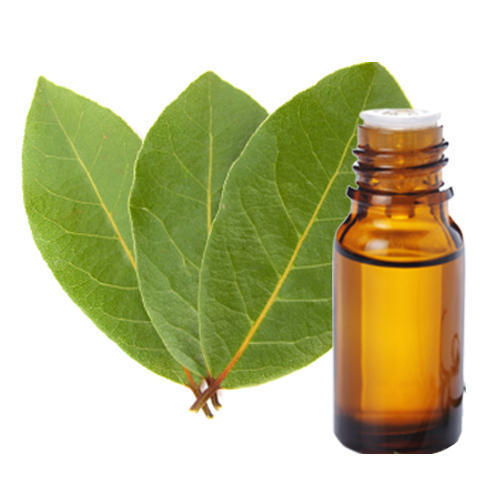 Coriander Leaf Oleoresin Manufacturers In Germany