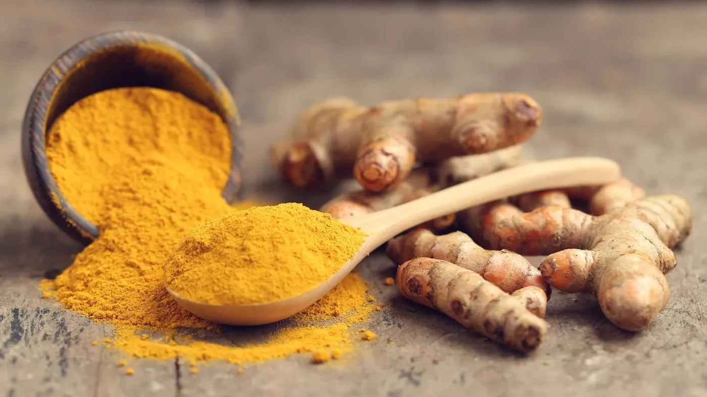 Curcumin Extract 95% Granules USP/BP Manufacturers In Germany