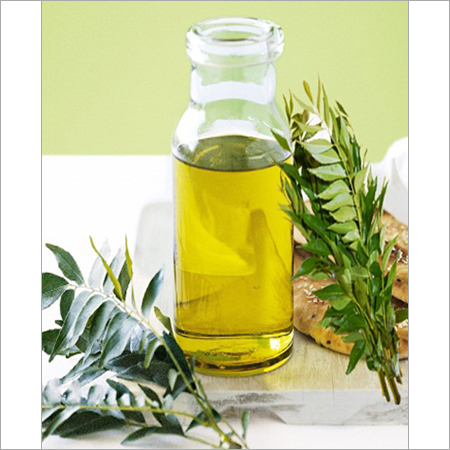 Curry Leaf Oil Manufacturers In Germany