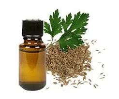 Davana Oil Manufacturers In Yemen