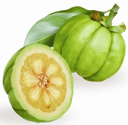 Garcinia Extract Manufacturers In Germany