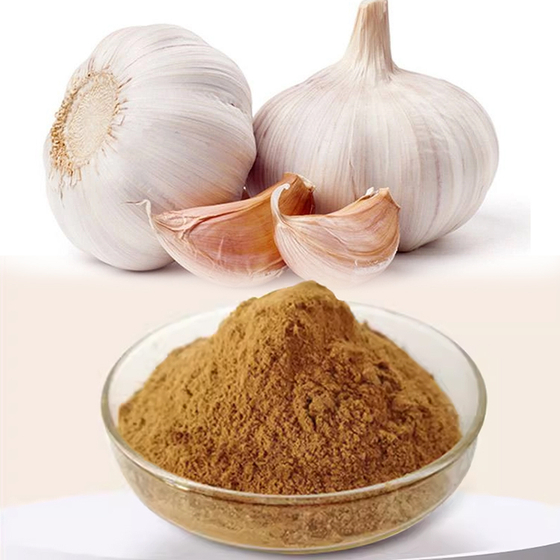 Garlic Extract Manufacturers In Germany