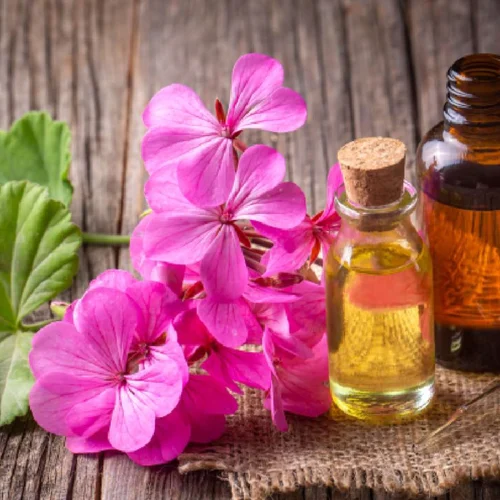 Geranium Oil Manufacturers In Germany