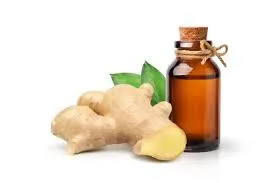 Ginger Oleoresin W/S Manufacturers In Germany