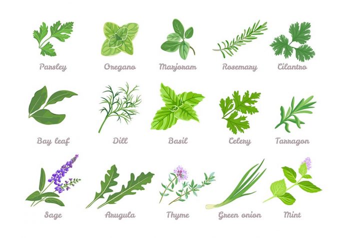Herbs Manufacturers In New Brunswick
