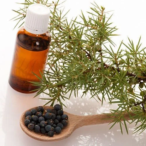 Juniper Berry Oil Manufacturers