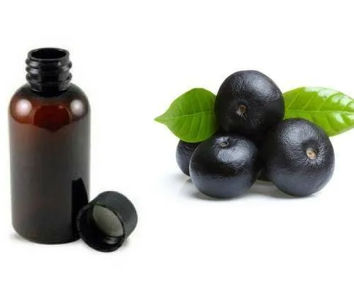 Laurel Seed Oil Manufacturers