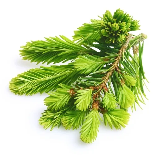 Linalool Oxide Manufacturers In Germany