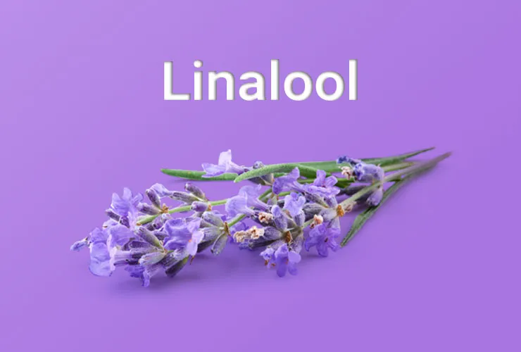 Linalool Manufacturers In Yemen