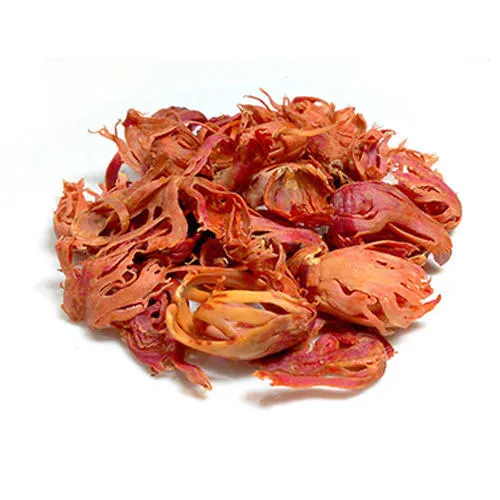 Mace Oleoresin Manufacturers In Comoros