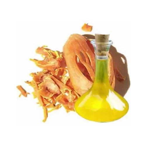 Mace Spice Oleoresin Manufacturers In Germany
