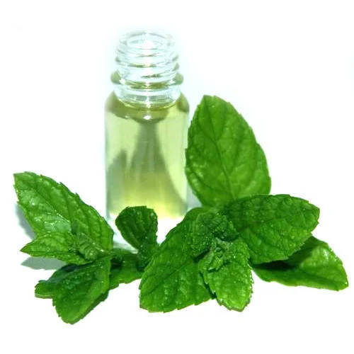 Menthyl Acetate Manufacturers In Germany