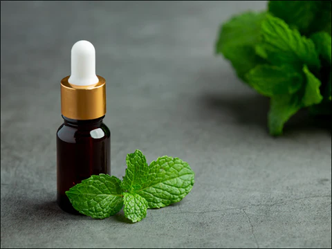 Mint Oil Manufacturers In Federated States of Micronesia