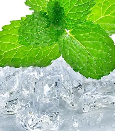 Racemic Menthol USP/BP/EP/PH.EUR/FCC Manufacturers In Omsk