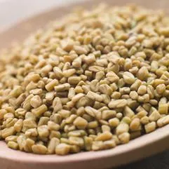 Roasted Fenugreek Oleoresin Manufacturers In Yemen