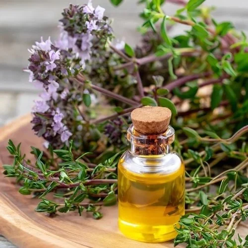 Thyme Oil Red Manufacturers In Germany