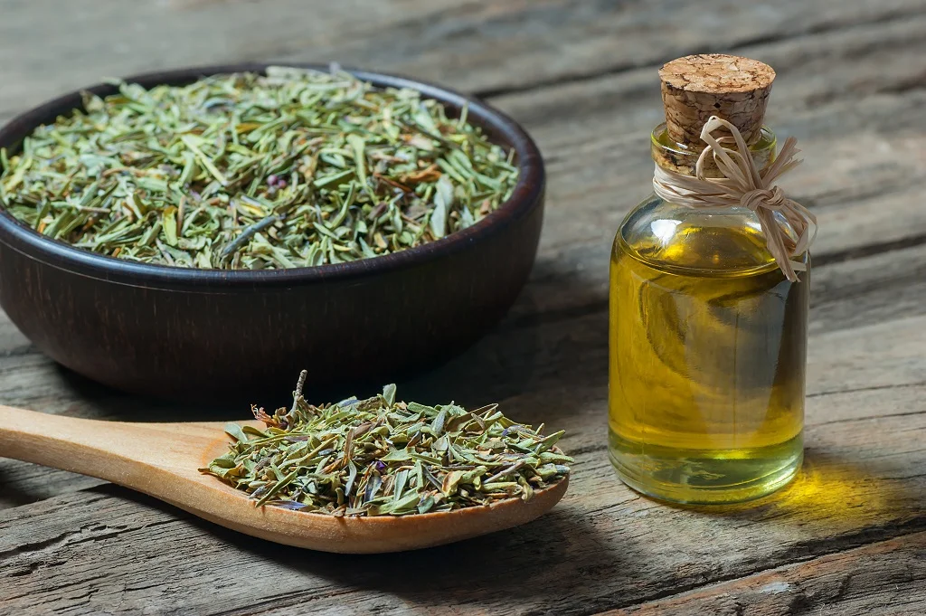 Thyme Oleoresin Manufacturers In Yemen