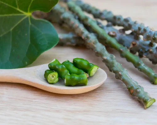 Tinospora Cordifolia Manufacturers In Trinidad and Tobago