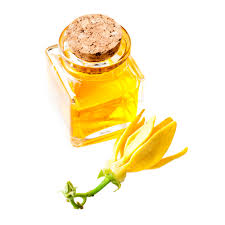 Ylang-Ylang Oil Manufacturers In Charleston